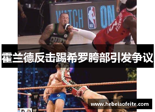 霍兰德反击踢希罗胯部引发争议