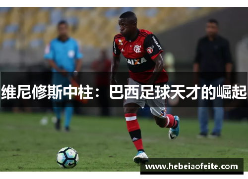 维尼修斯中柱:巴西足球天才的崛起 维尼修斯中柱:巴西足球天才的崛起