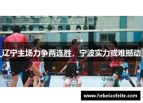 辽宁主场力争两连胜，宁波实力或难撼动